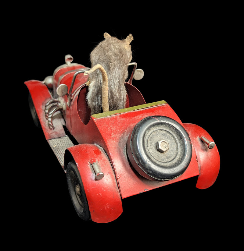Vintage Automobile Mouse Taxidermy-Taxidermy-Geoffrey Vassallo-PaxtonGate