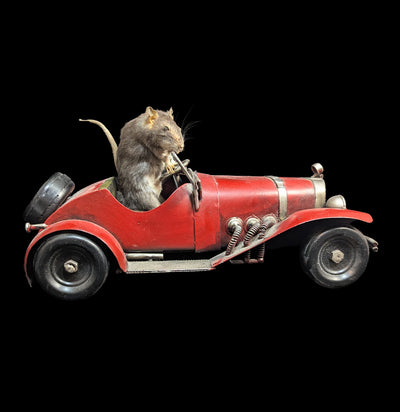 Vintage Automobile Mouse Taxidermy-Taxidermy-Geoffrey Vassallo-PaxtonGate