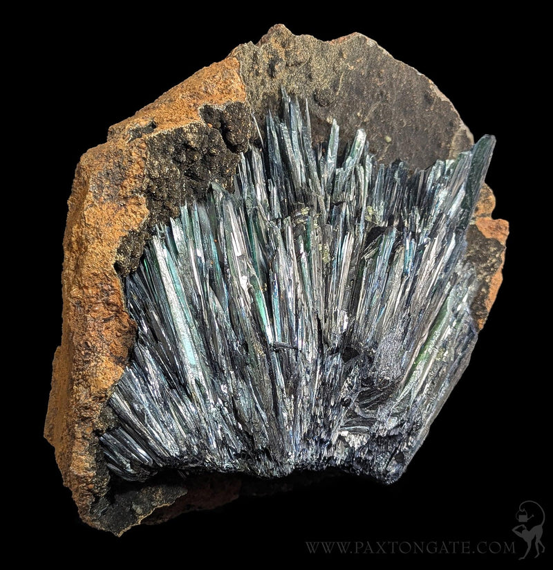 Vivianite Crystal Specimen A-Minerals-Donald Allen-PaxtonGate