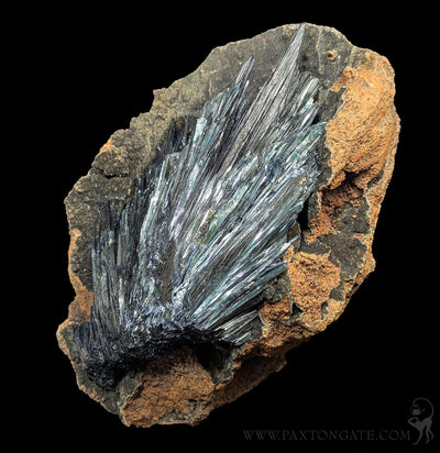 Vivianite Crystal Specimen A-Minerals-Donald Allen-PaxtonGate