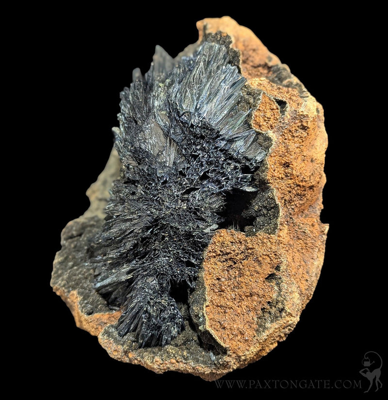 Vivianite Crystal Specimen A-Minerals-Donald Allen-PaxtonGate