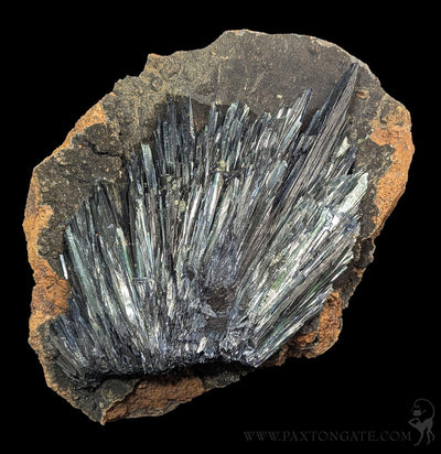 Vivianite Crystal Specimen A-Minerals-Donald Allen-PaxtonGate