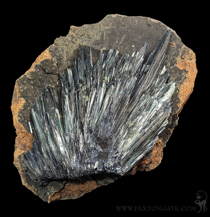 Vivianite Crystal Specimen A-Minerals-Donald Allen-PaxtonGate