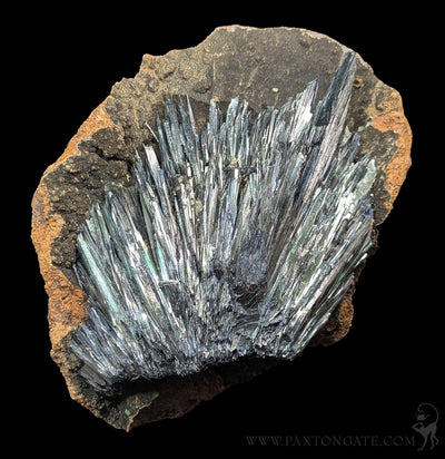 Vivianite Crystal Specimen A-Minerals-Donald Allen-PaxtonGate