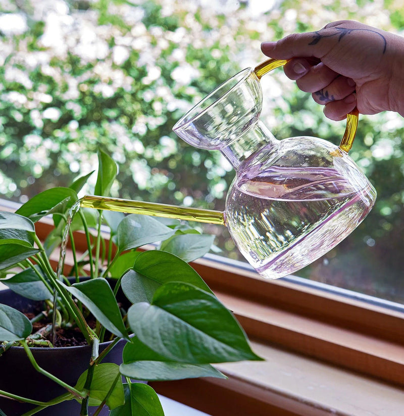 Glass Watering Can-Garden Supplies-Modern Sprout-PaxtonGate