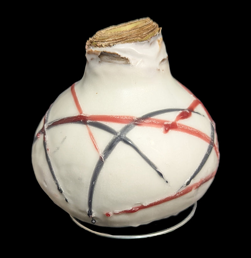 Waxed Amaryllis Bulb-Plants-DeVroomen Bulb Co.-PaxtonGate