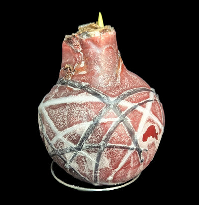 Waxed Amaryllis Bulb-Plants-DeVroomen Bulb Co.-PaxtonGate