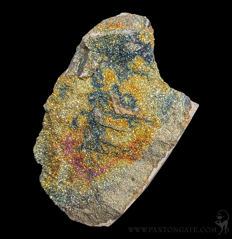 Rainbow Pyrite For Sale | Paxton Gate