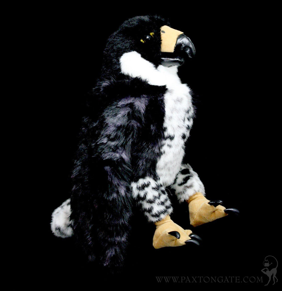 Peregrine Falcon Puppet For Sale | Paxton Gate