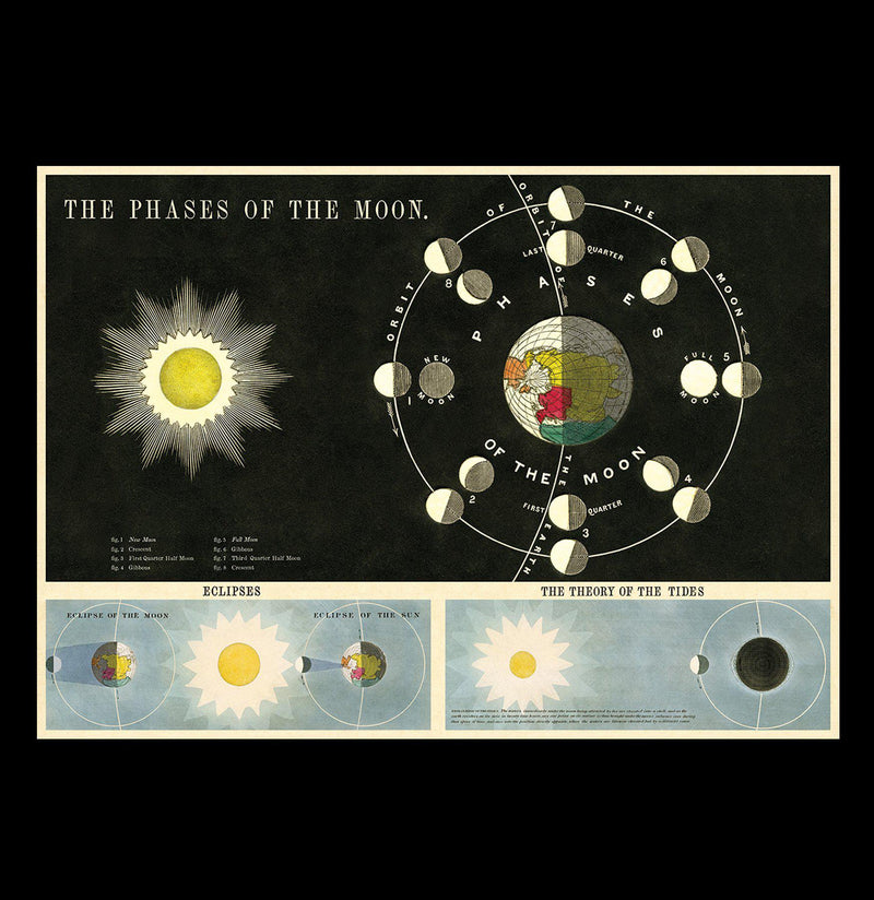 Phases of the Moon - Paxton Gate