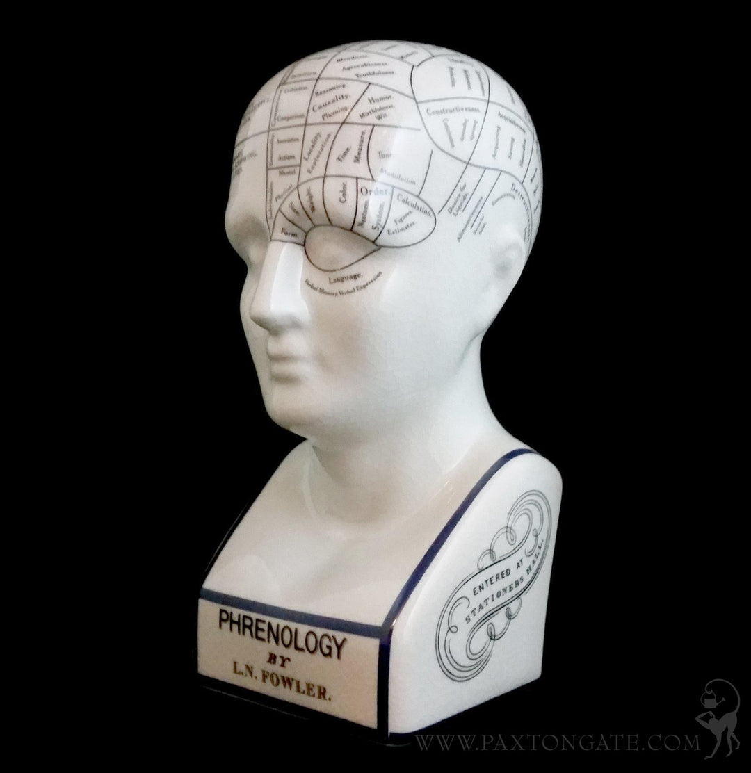 THE PHRENOLOGY オブジェ　サイズ L THE PHRENOLOGY-L – GLOBAL FORME CONCRETE