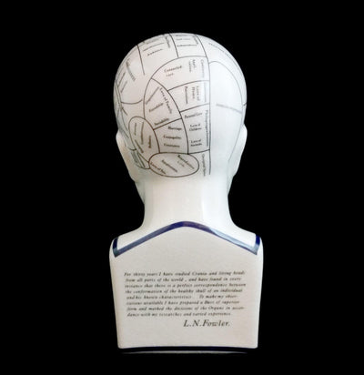 Phrenology Head - Paxton Gate