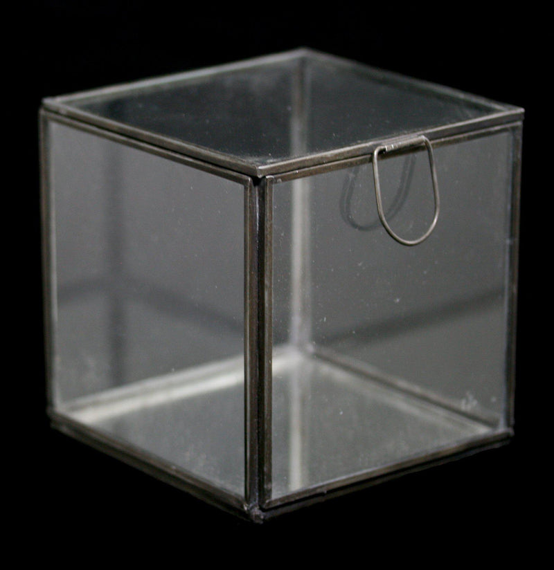 Pierre Demi Glass Box - Paxton Gate