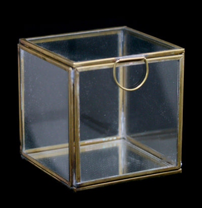 Pierre Demi Glass Box - Paxton Gate