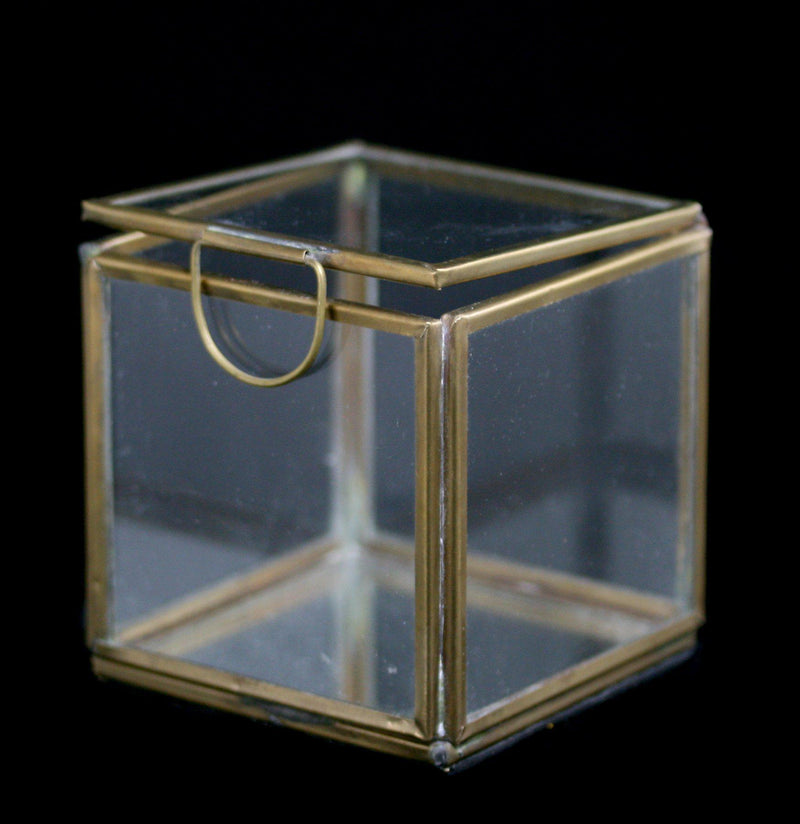 Pierre Demi Glass Box - Paxton Gate