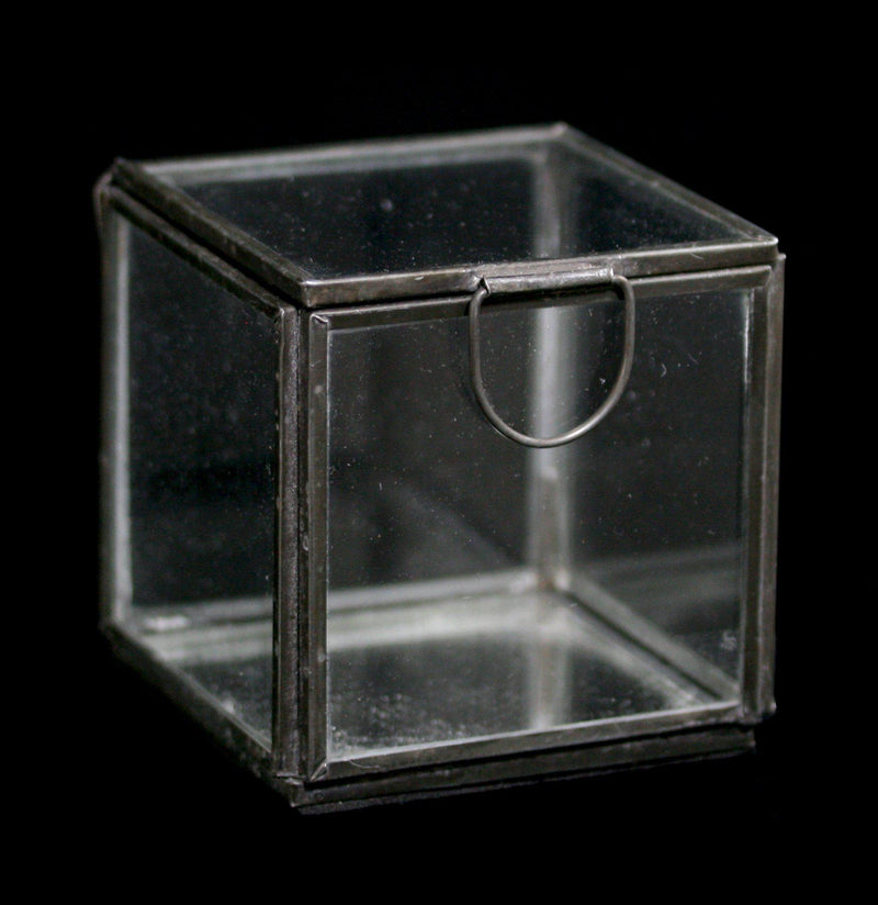 Pierre Demi Glass Box - Paxton Gate