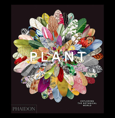 Plant: Exploring the Botanical - Paxton Gate