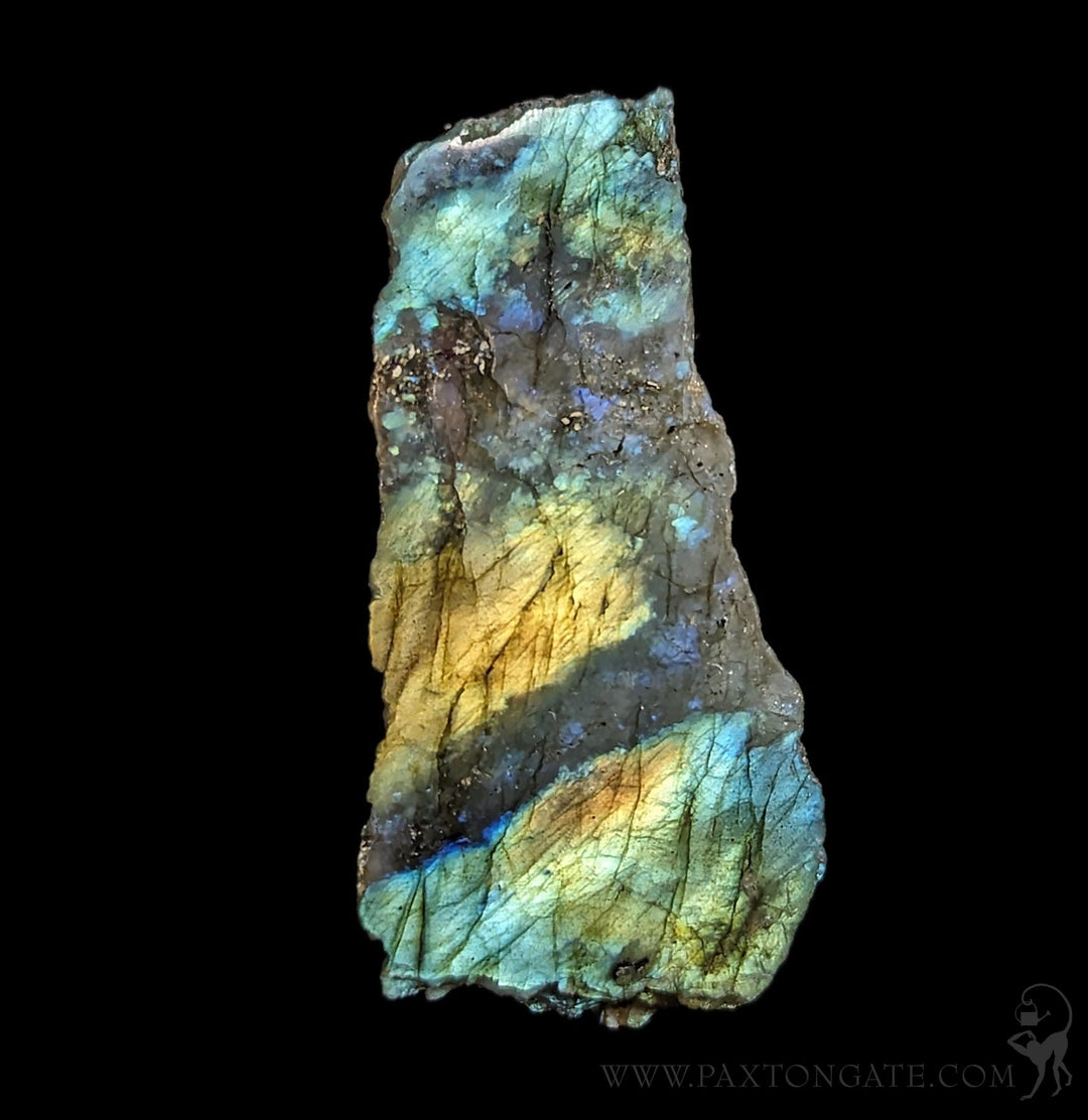 Polished Labradorite Slice For Sale | Paxton Gate