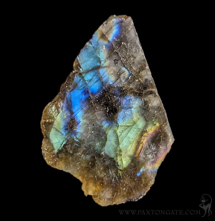 Polished Labradorite Slice For Sale | Paxton Gate