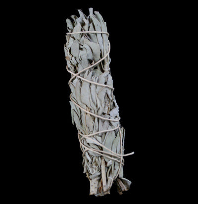 White Sage Smudging Herb Bundle-Incense-GeoCentral-PaxtonGate