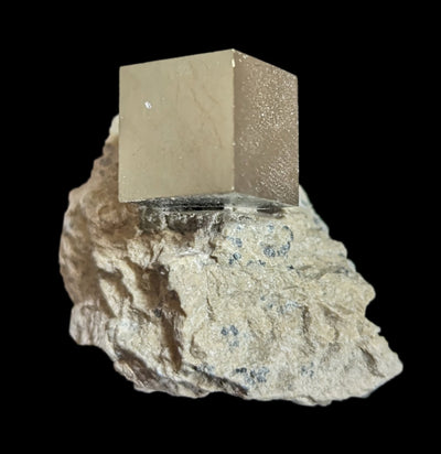 Pyrite Cube in Matrix-Minerals-Piritas de Navajun-PaxtonGate