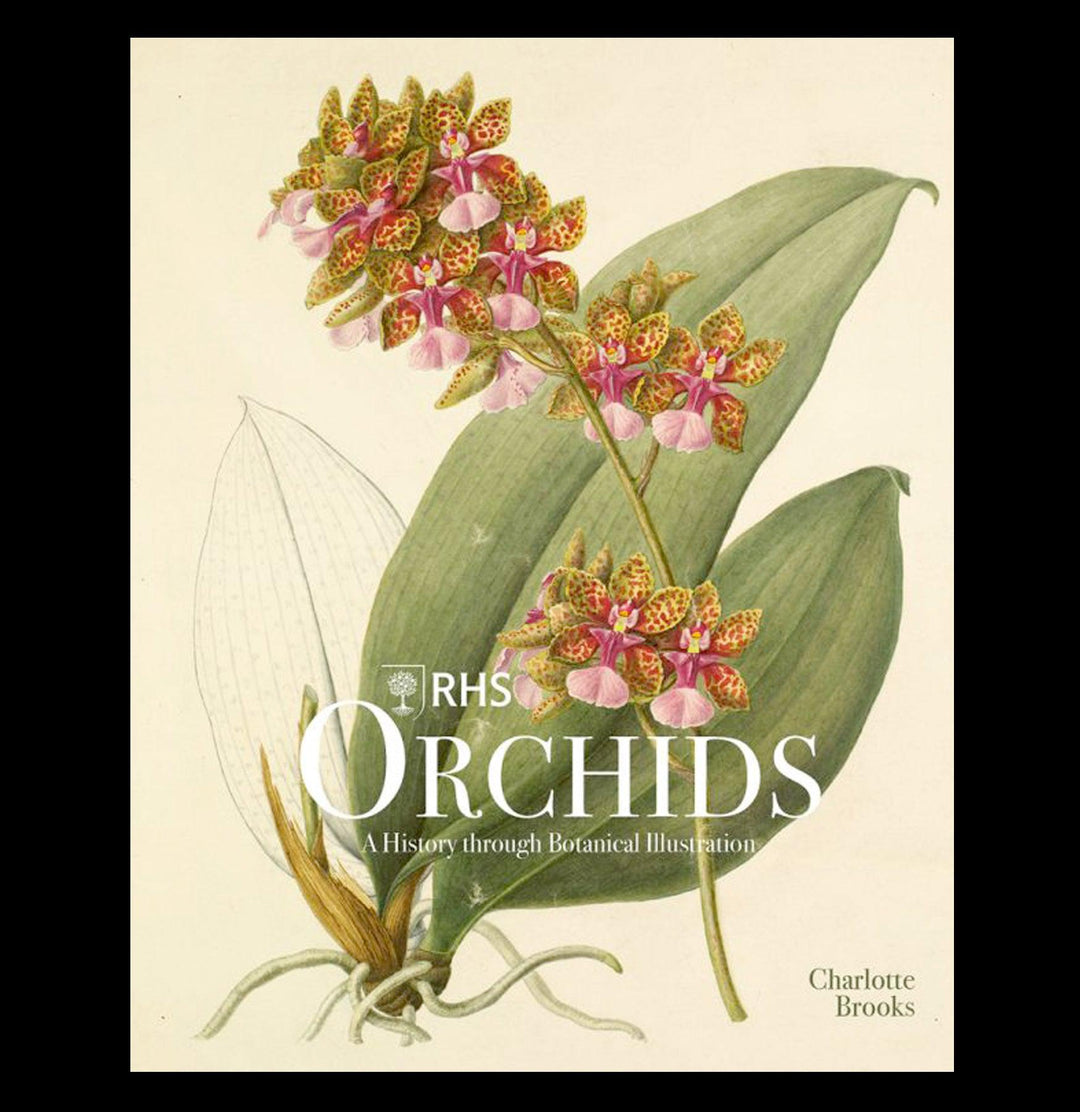 RHS Orchids For Sale | Paxton Gate