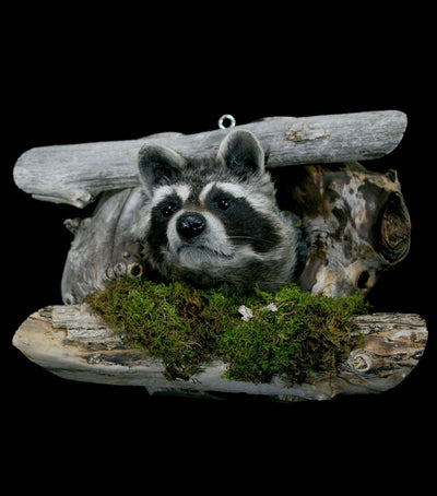 Raccoon Taxidermy on Forest Mount - Paxton Gate