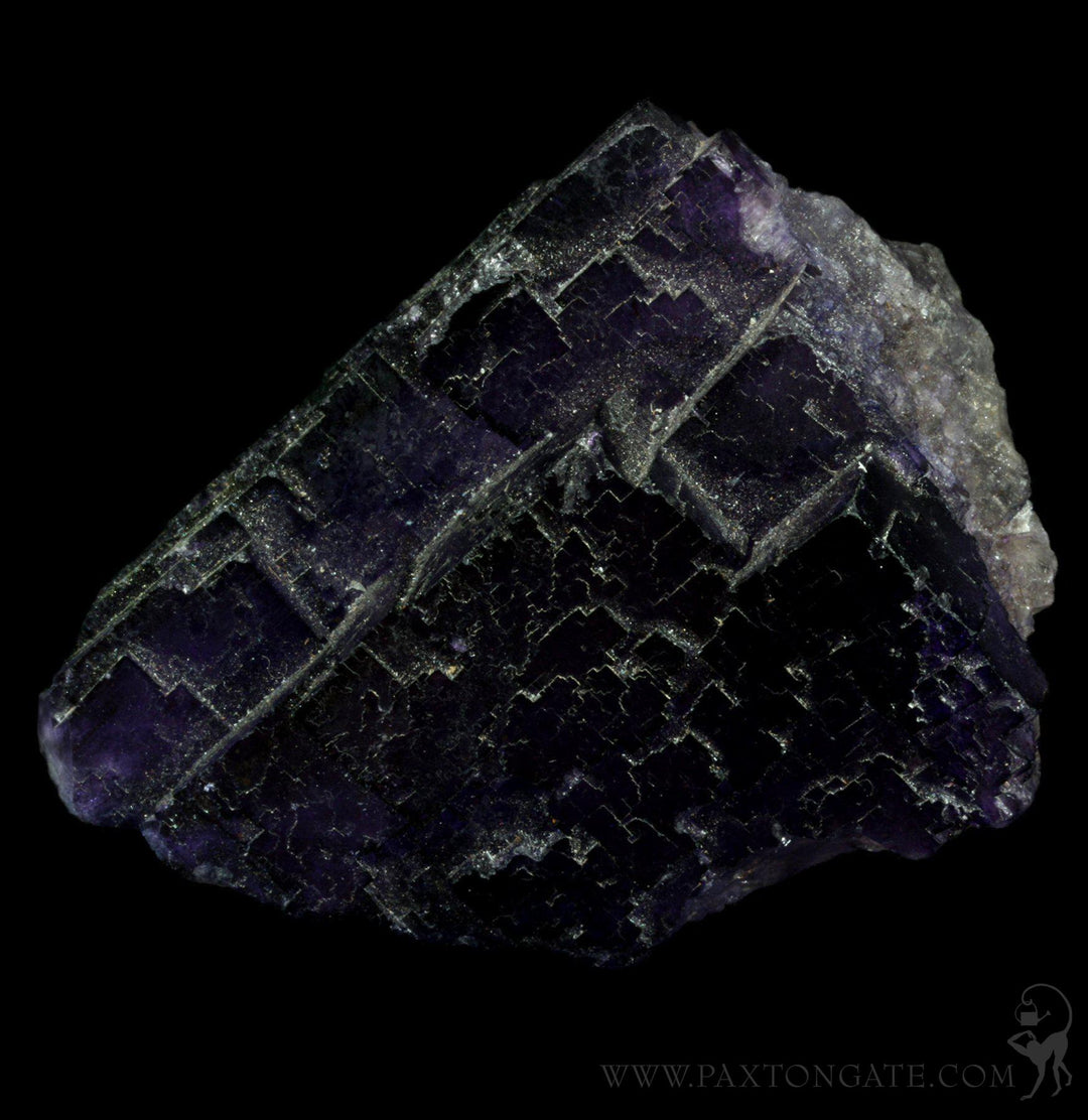 Raw Fluorite Cluster For Sale Paxton Gate