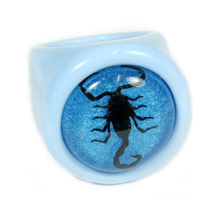 Real Black Scorpion Ring - Paxton Gate