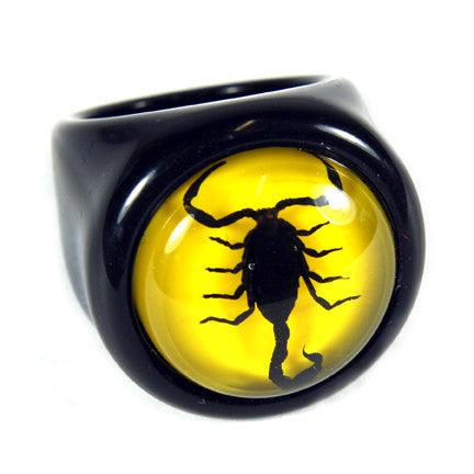 Real Black Scorpion Ring - Paxton Gate