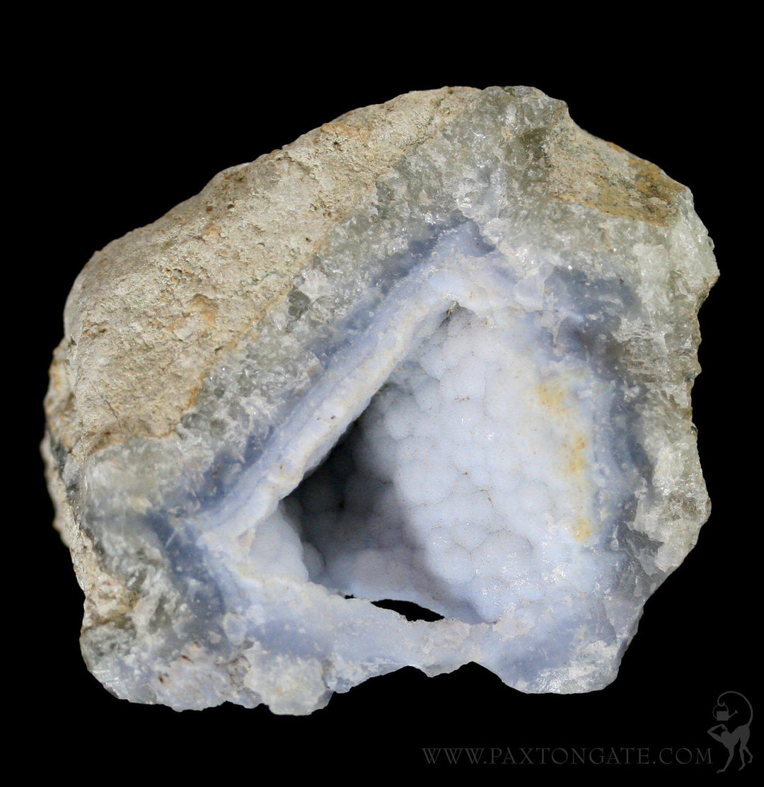 Rough Blue Lace Agate For Sale | Paxton Gate
