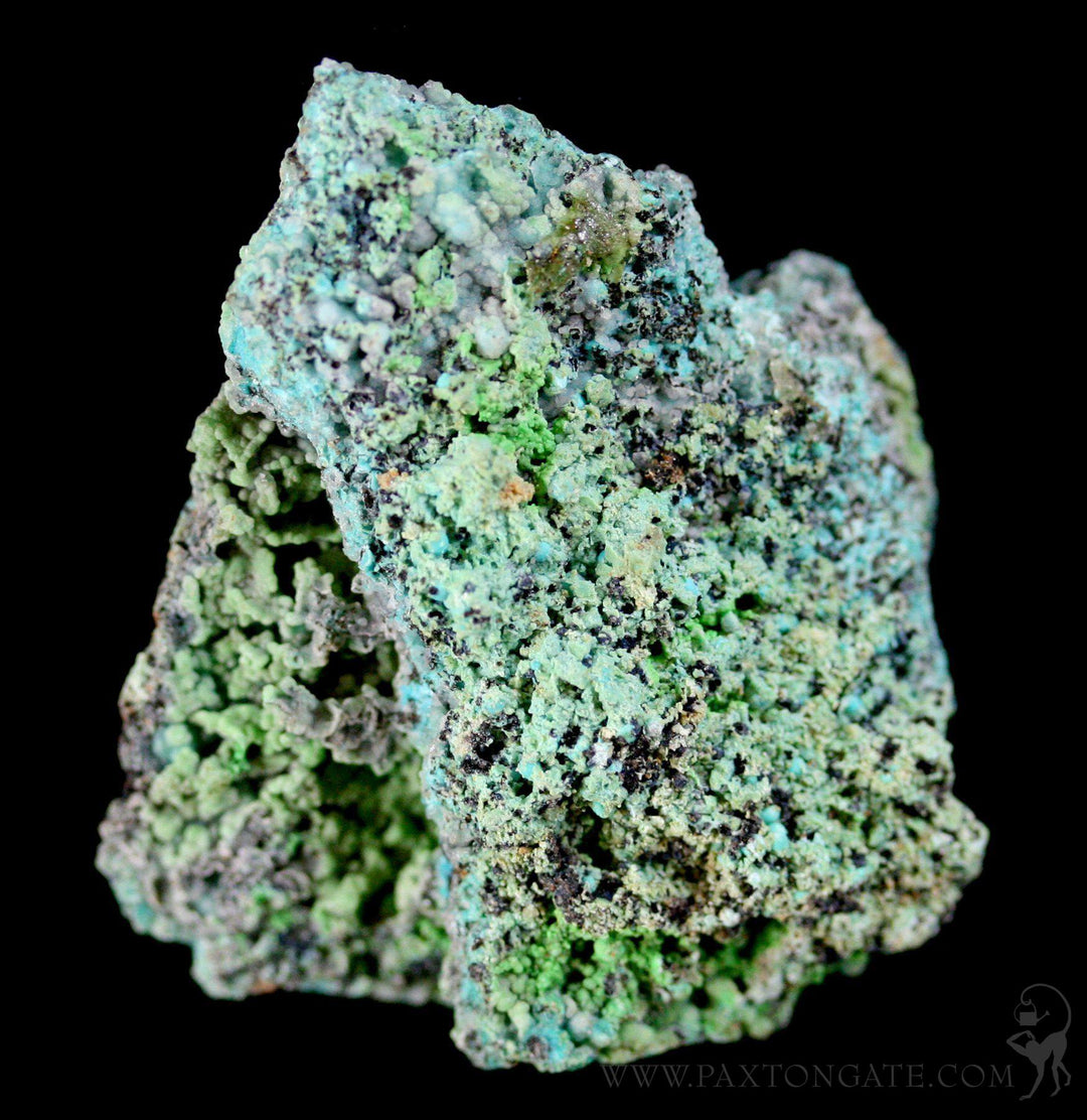 Rough Chrysocolla Stone For Sale | Paxton Gate