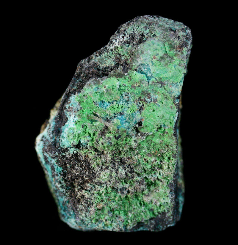 Rough Chrysocolla Stone - Paxton Gate