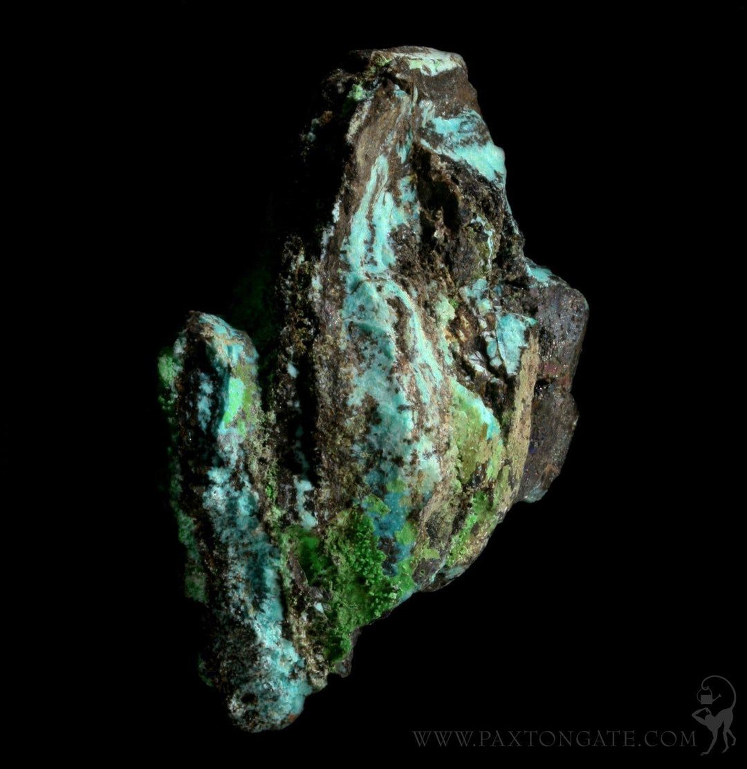 Rough Chrysocolla Stone For Sale | Paxton Gate