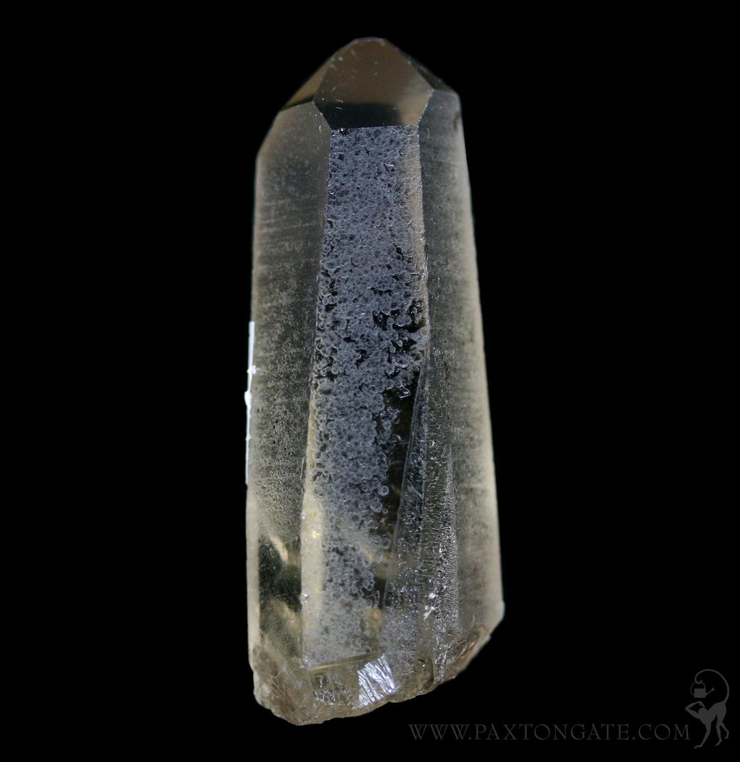 Rough Smokey Citrine Quartz Crystal Point For Sale Paxton Gate