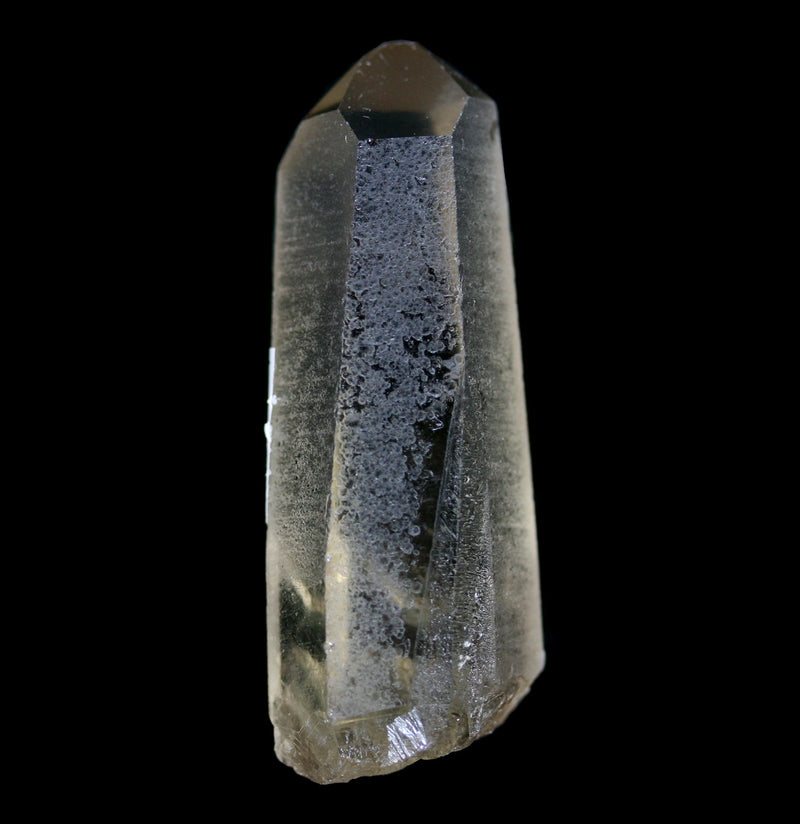 Rough Smokey Citrine Quartz Crystal Point - Paxton Gate