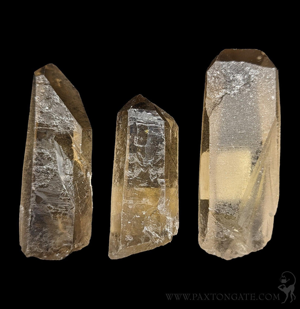 Rough Smokey Citrine Quartz Crystal Point For Sale Paxton Gate