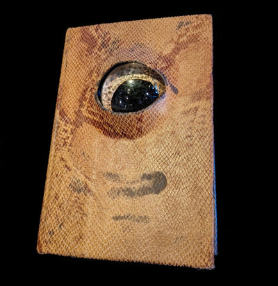 Snake Skin Book Eye-Artwork-Doug Rhodes-PaxtonGate