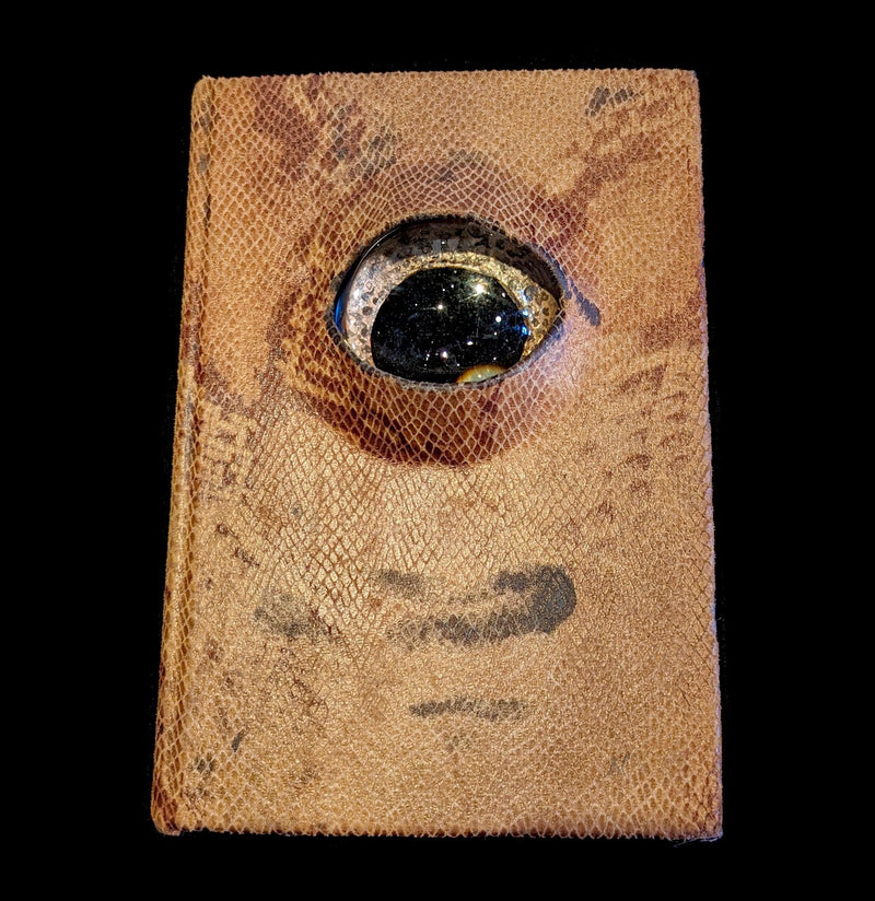 Snake Skin Book Eye-Artwork-Doug Rhodes-PaxtonGate