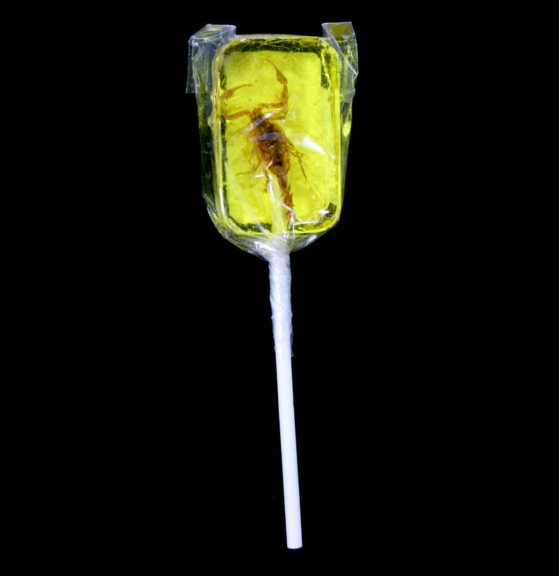 Scorpion Sucker - Paxton Gate