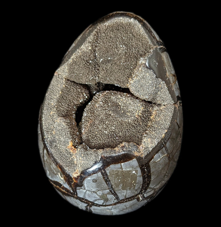 Septarian Dragon Egg For Sale | Paxton Gate