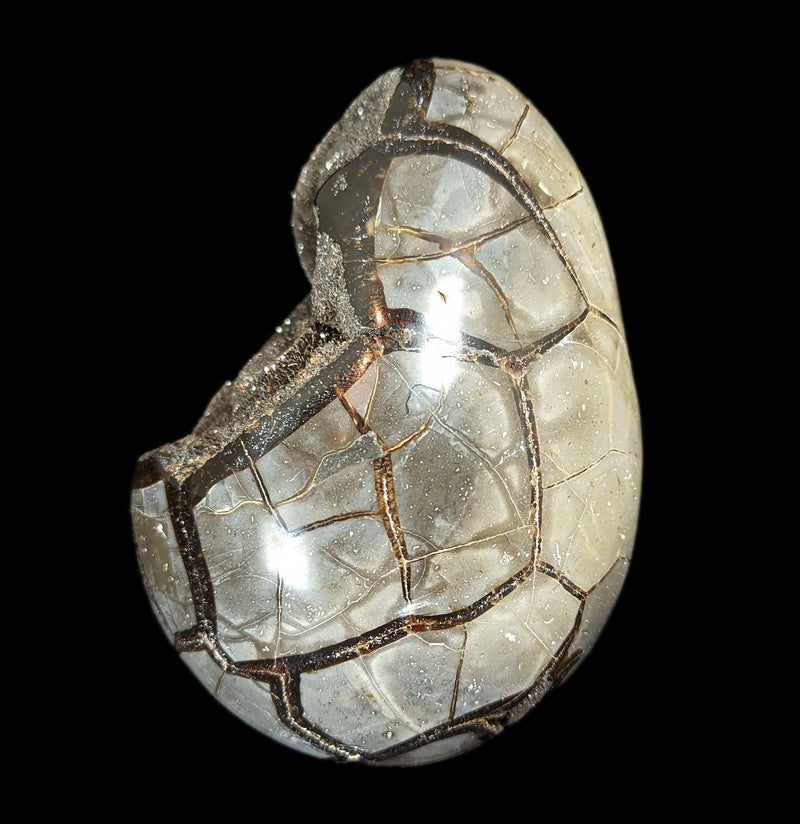 Septarian Dragon Egg-Minerals-Driftstone Pueblo-PaxtonGate