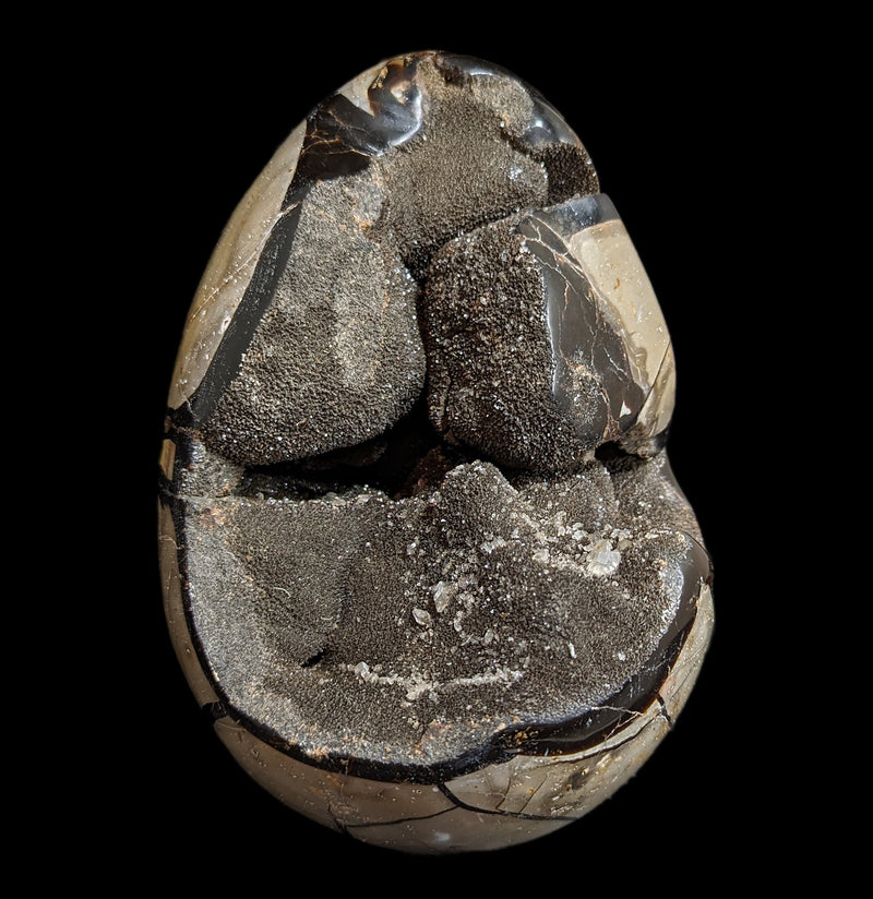 Septarian Dragon Egg-Minerals-Driftstone Pueblo-PaxtonGate