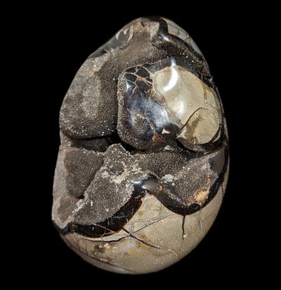 Septarian Dragon Egg-Minerals-Driftstone Pueblo-PaxtonGate