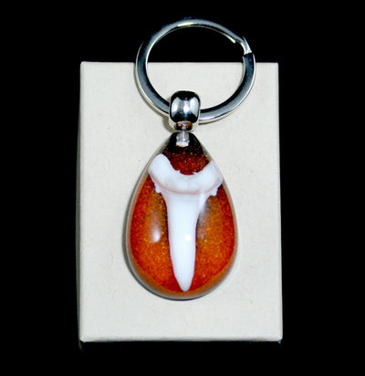 Shark Tooth Key Chain - Paxton Gate