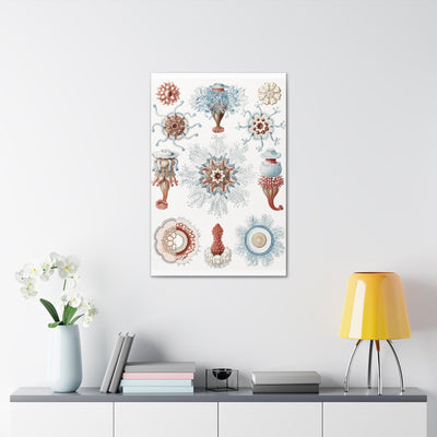 "Siphonophorae Staatsquallen" By Ernst Haeckel Canvas Gallery Wraps-Canvas-Printify-PaxtonGate