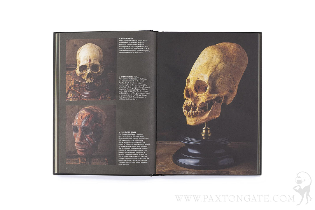 Skulls-Portraits-of-the-Dead-