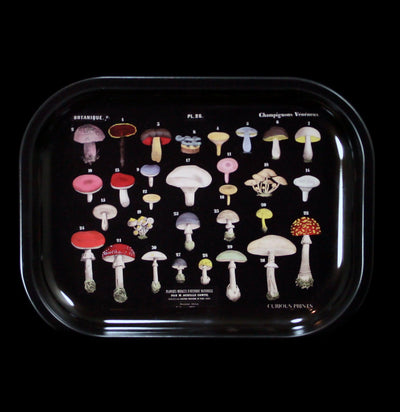 Small Metal Black Mushroom Ritual Tray-Decor-Curious Prints-PaxtonGate