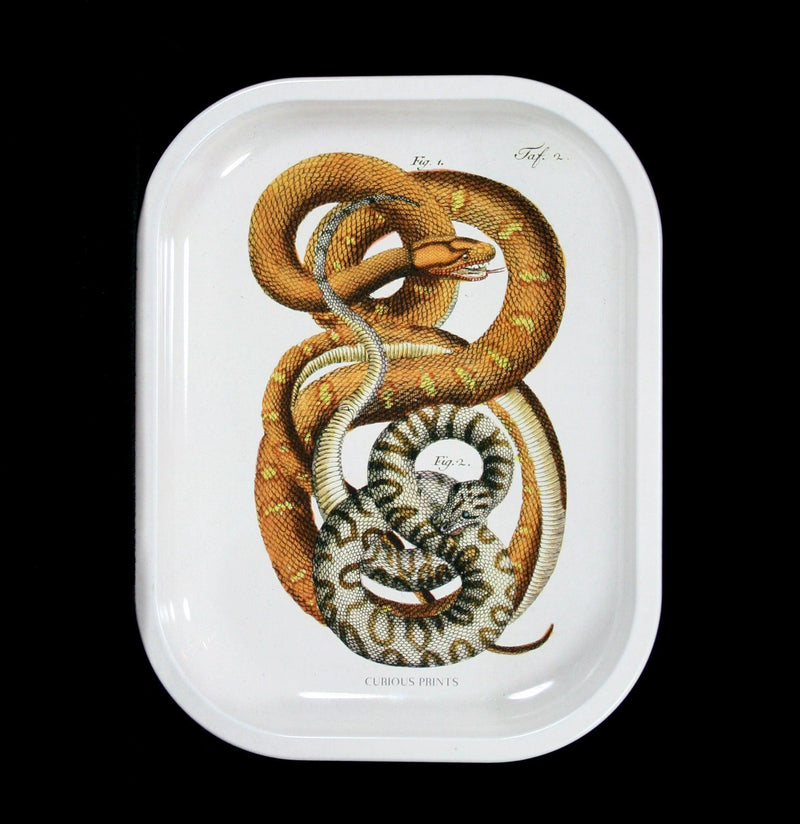 Small Metal Snake Ritual Tray-Decor-Curious Prints-PaxtonGate