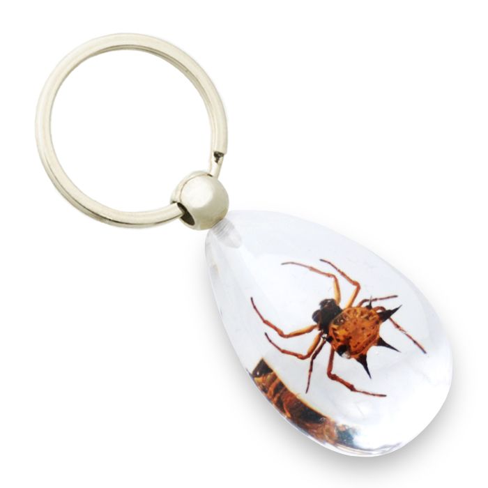 Spiny Spider Keychain - Paxton Gate